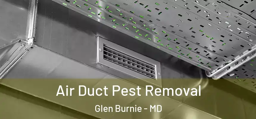  Air Duct Pest Removal Glen Burnie - MD