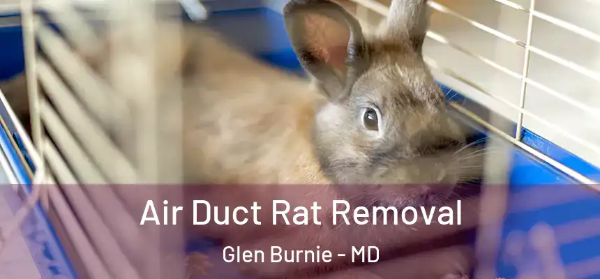  Air Duct Rat Removal Glen Burnie - MD