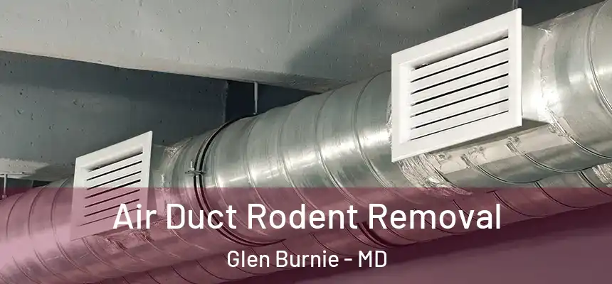  Air Duct Rodent Removal Glen Burnie - MD