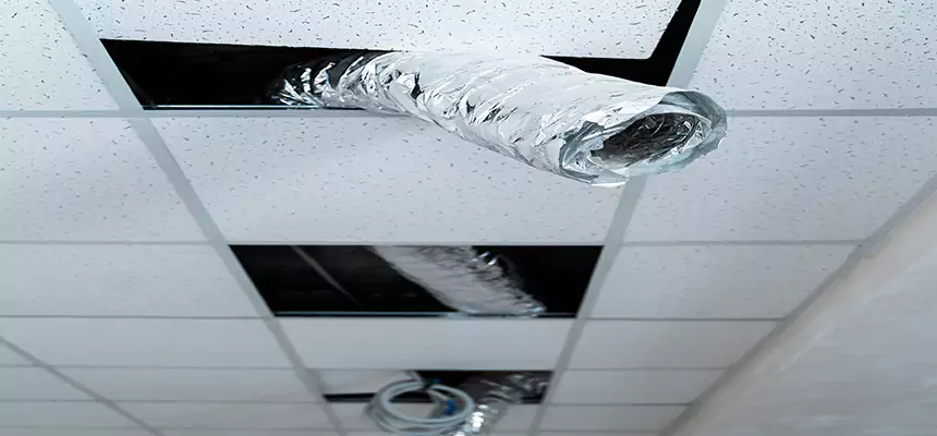 Affordable HVAC Sanitizing After Pest Removal in Glen Burnie