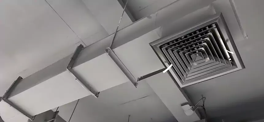 Our Pest Removal From Ducts Services in Glen Burnie, MD