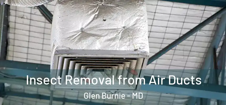  Insect Removal from Air Ducts Glen Burnie - MD