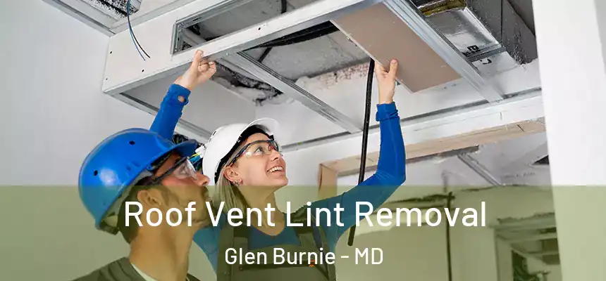 Roof Vent Lint Removal Glen Burnie - MD