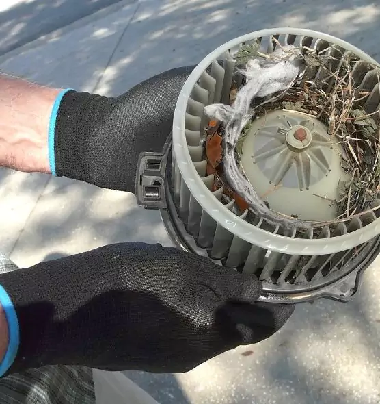 About Air Duct Mice Removal in Glen Burnie, MD