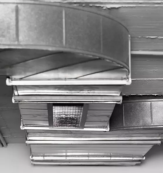 Professional Air Duct Pest Removal in Glen Burnie, MD