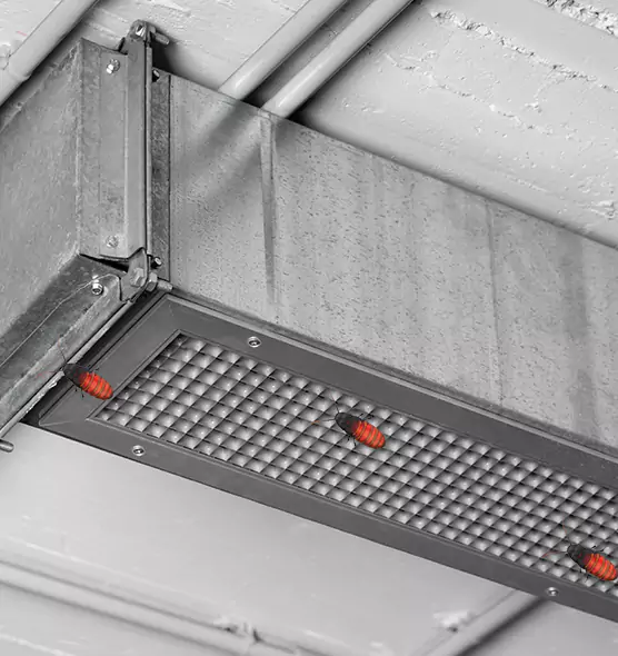 Affordable Insect Removal from Air Ducts in Glen Burnie, MD