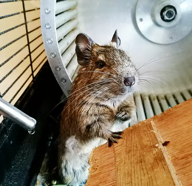 Why Homeowners & Businesses Trust Us Glen Burnie, MD